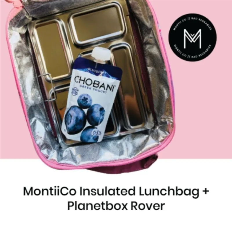 Insulated Lunch Bag