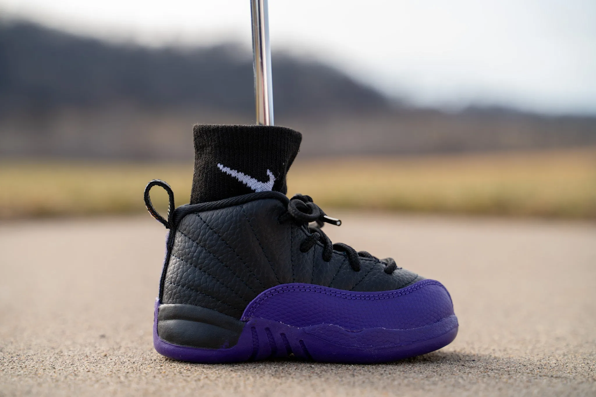 Jordan 12 Retro [FIELD PURPLE] Standing Sneaker Putter Cover