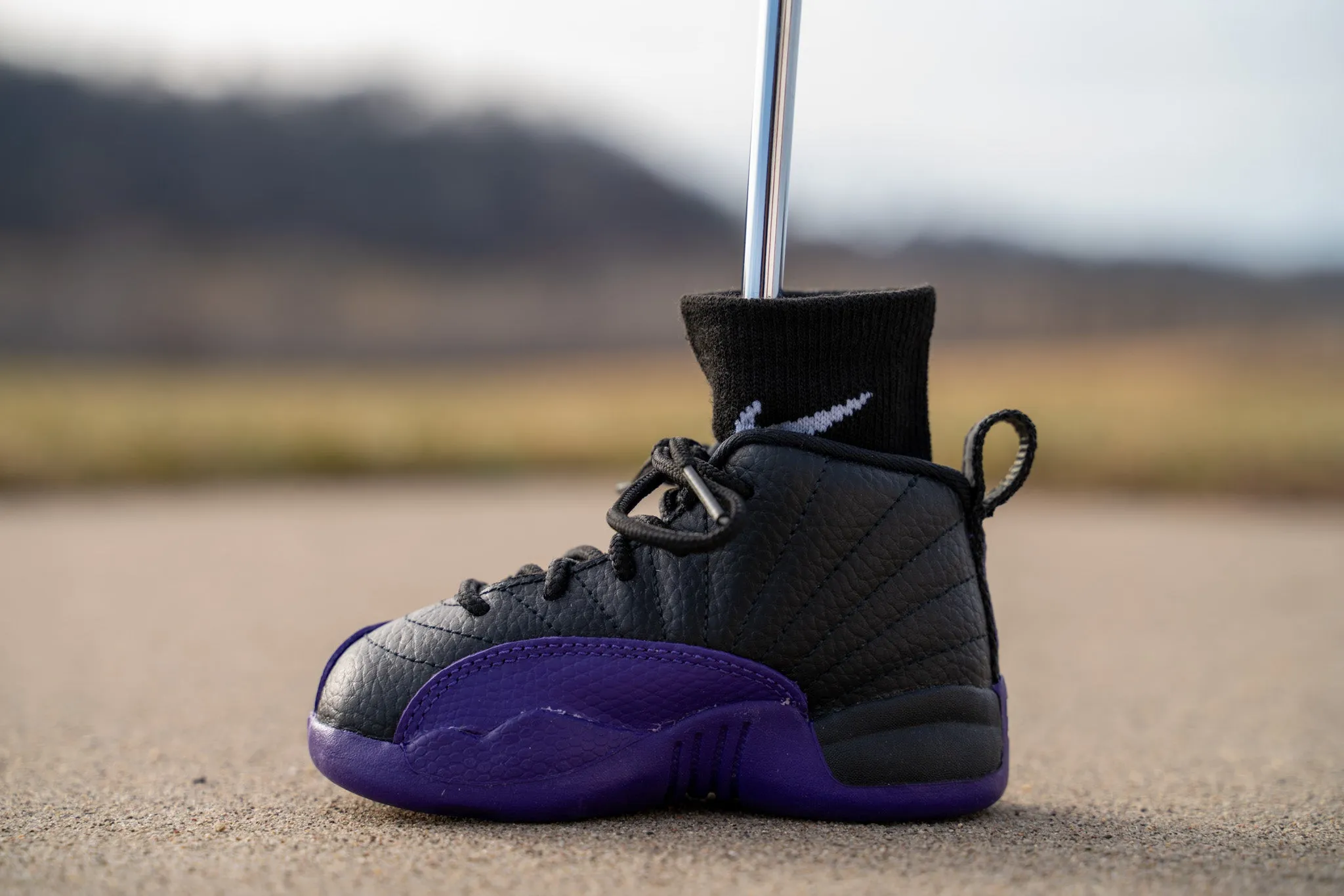 Jordan 12 Retro [FIELD PURPLE] Standing Sneaker Putter Cover