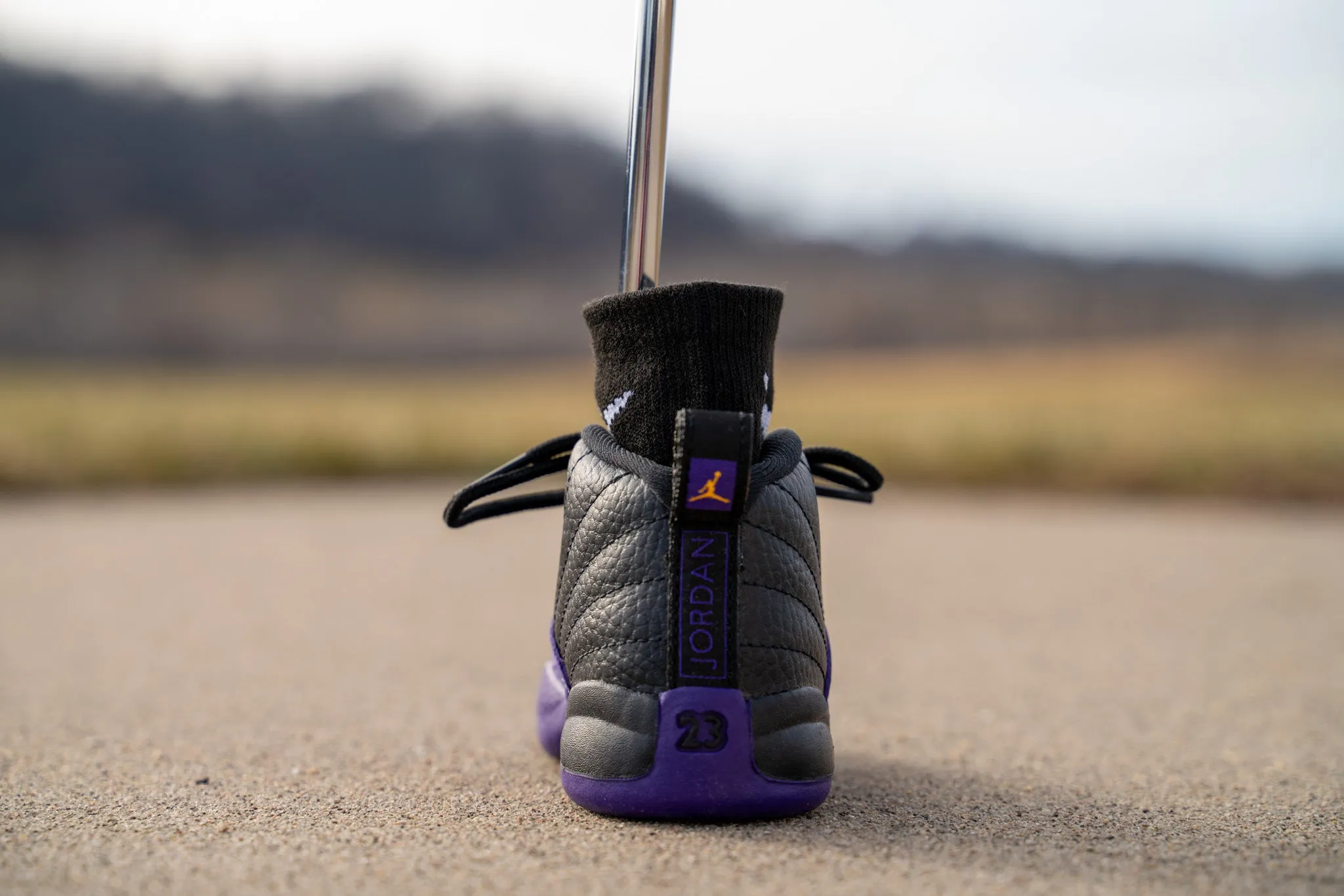 Jordan 12 Retro [FIELD PURPLE] Standing Sneaker Putter Cover