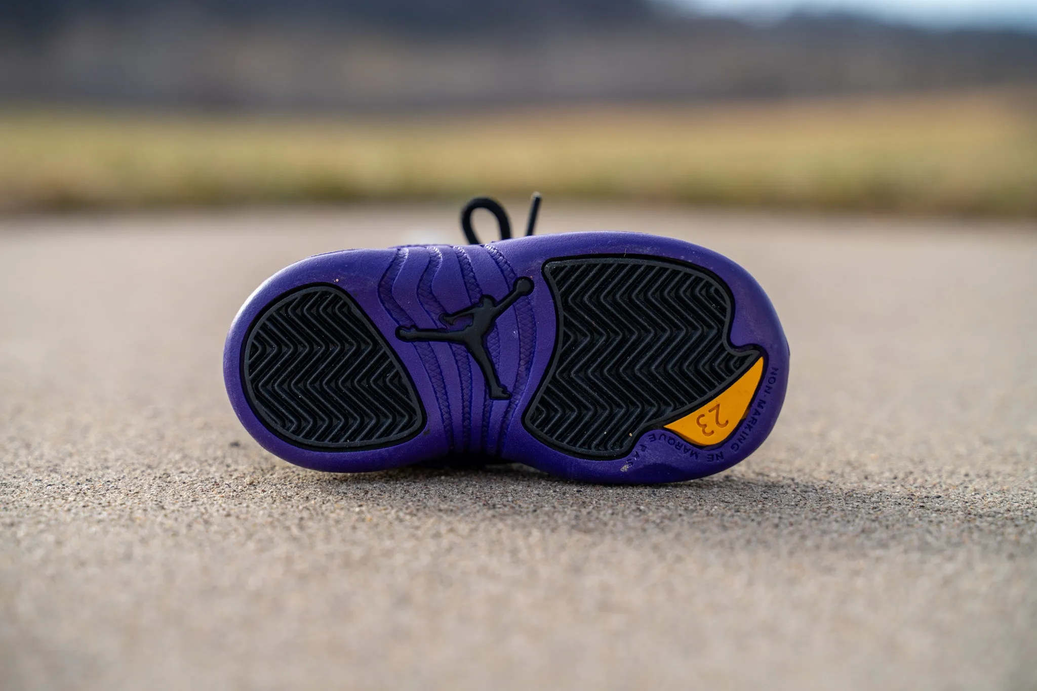 Jordan 12 Retro [FIELD PURPLE] Standing Sneaker Putter Cover