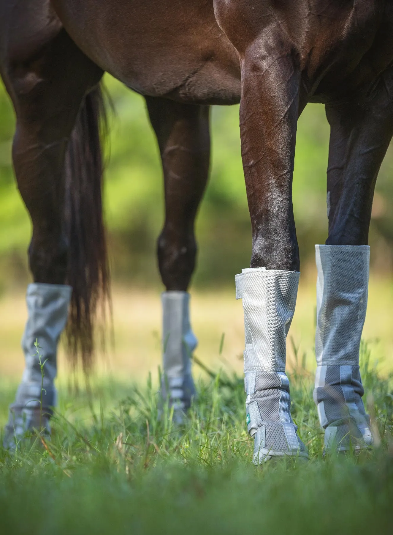 Rambo 4-pk Tech-Fit Horse Fly Boots, Silver